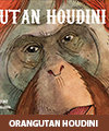 *Orangutan-Houdini-100x105