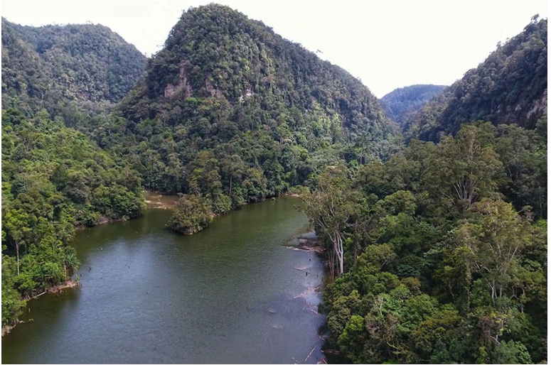 MongabayRiver The Batang Toru River, the proposed power source for a Chinese-funded hydroelectric dam. Image by Ayat S. Karokaro/Mongabay-Indonesia.