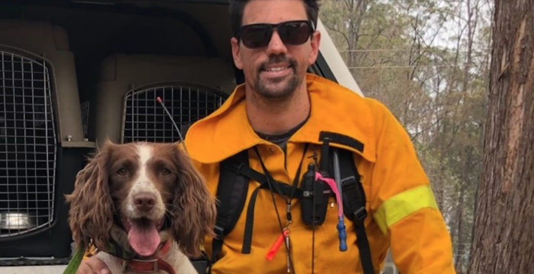 KoalaPhoto1 Ryan Tate and his English springer spaniel Taylor take a break from searching. Photo courtesy of Ryan Tate.