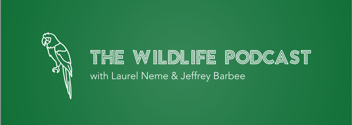 Screenshot 2025-12-19 at 12.13.26 PM