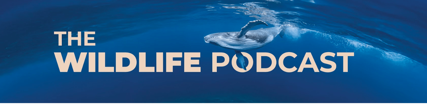 Screenshot 2026-02-26 at 3.01.42 PM